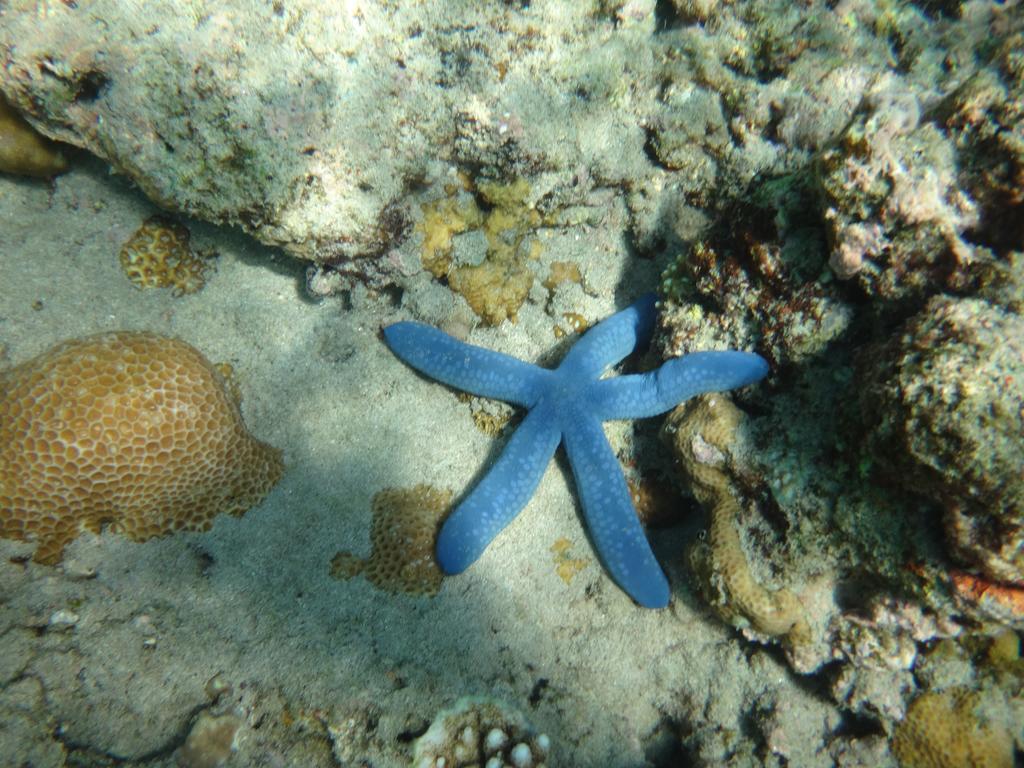 Wera Beach Kadumbul Dış mekan fotoğraf