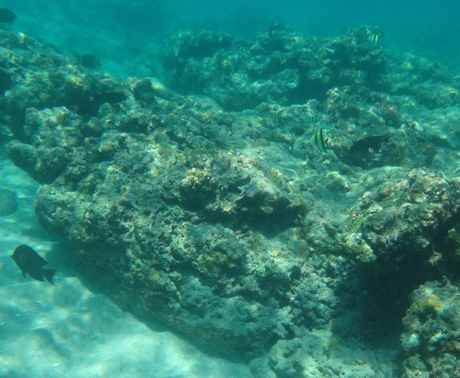 Wera Beach Kadumbul Dış mekan fotoğraf
